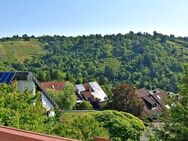 Unverbaubarer Blick auf Weinberge! Freistehendes 1-Familien-Haus mit ELW - Stuttgart