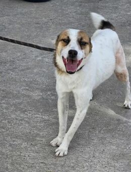 Sozialer BLUE = ein ♥️ voller Hoffnung - München