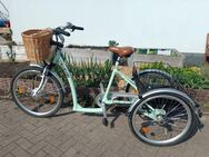 E-Bike Dreirad für Erwachsene - Weingarten (Baden)