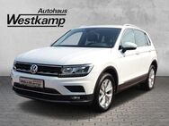 VW Tiguan, 2.0 TSI Highline, Jahr 2020 - Frechen