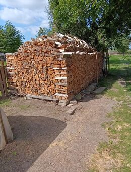 Feuer-Kaminholz - Ebersbach