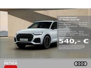 Audi Q5, S line 40 TDI quattro DRC, Jahr 2024 - Melle