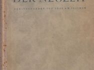 Buch von Prof. A. W. Jefimow GESCHICHTE DER NEUZEIT 1789 - 1870 [1948] - Zeuthen