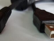 Anschlusskabel Audio Kamera Video - Klein USB zu normal USB / E154336 Kabel - Garbsen