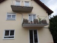 Geschmackvolle, frisch sanierte 3-Zi-EG-Wohnung mit Terrasse ohne EBK, Kindergarten Nähe in Dieburg - Dieburg
