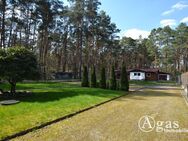 Sehr gepflegter Bungalow mit Garage auf liebevoll angelegtem Grundstück in Borkheide - Borkheide