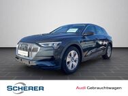 Audi e-tron, 50 quattro 230kW, Jahr 2021 - Alzey