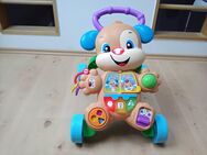 Fisher Price Lauflernwagen Hündchen 20 Euro - Bocholt