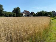 "Ihr Bett im Kornfeld" Bauplatz in Ebermannstadt - Ebermannstadt