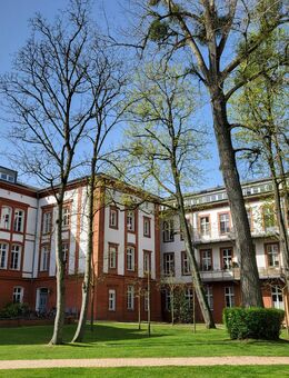 Großzügige 2-Zimmer-Wohnung mit Wohnküche und Galerie unterm Dach - Schwerin