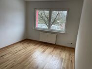 2 Zimmer Wohnung EG mitte - Brüsewitz