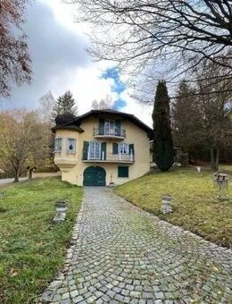 Charmantes Schlösschen mit über 6.700 m² Grundstück - Regenstauf