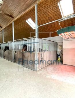 Exklusives Reiterparadies an der Luxemburger Grenze - Ihre private Reitanlage mit großem Wohnhaus - Niederweis