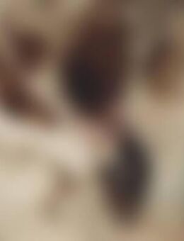 Dev*** - Frankfurt (Main)