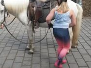 Bibi und Tina Reitleggings - Wittingen