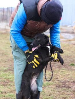Slavi - bist Du meine neue Familie - Berlin