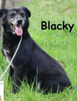 Blacky die schüchterne Hundedame - Kissing