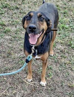 Gutmütig + kinderlieb = LILY ♥️ - München