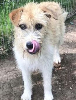 Jana 50 cm - Alpenrod