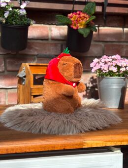 Plüsch Capybara "Don Frutón", Kuscheltier - Willich