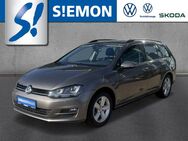 VW Golf, 1.6 TDI 7 Var Comfortl BiXen, Jahr 2016 - Ibbenbüren