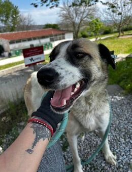 Kinderliebe sanfte soziale BOYANA ♥️ - München