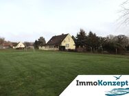 EFH, ca. 113m² Wfl., Ausbaureserve, überdachte Terrasse, 2826m² grünes Grd. & Nebengelass in Brünzow - Brünzow