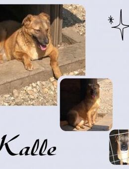 Kalle - Köln