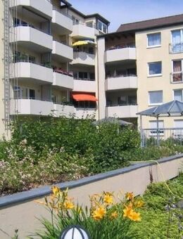 Einzimmerappartement in Brühl-Mitte - Brühl (Nordrhein-Westfalen)