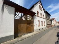 saniertes Einfamilienhaus mit Nebengebäuden in Gimbsheim - Gimbsheim