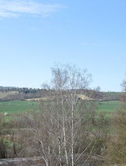3-Raum-Wohnung mit Südblick! - Bad Frankenhausen (Kyffhäuser)