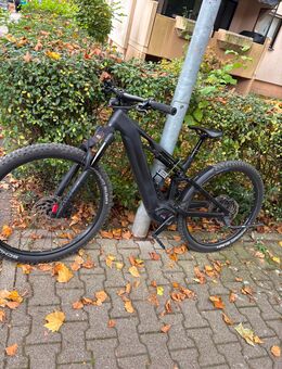Cube Stereo Hybrid Fully Carbon 2025 – 800 Wh – Top Zustand! - Stuttgart