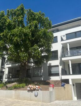 NEUBAU: Attraktive 3-Zimmerwohnung mit luxuriöser Ausstattung in Königstein im Taunus - Königstein (Taunus)