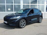 Ford Kuga 1.5 EcoBoost ST-LINE X - Schramberg