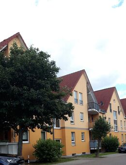 3-Raum Wohnung mit Balkon - Burg (Sachsen-Anhalt)