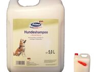 PRIMA Hundeshampoo Aloe Vera 5 L Kanister + gratis Ausgießer Dogs shampoo - Mönchengladbach