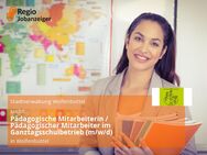 Pädagogische Mitarbeiterin / Pädagogischer Mitarbeiter im Ganztagsschulbetrieb (m/w/d) - Wolfenbüttel