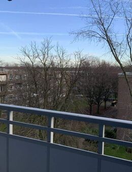 Zwei Zimmer mit Blick in die Ferne! Ab Februar 2026 - Monheim (Rhein)