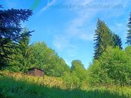 Haus im Trockenrohbauzustand mit ca. 7000 m² Grundstück! Absolut ruhige Randlage inmitten unberührter Natur! - Haidmühle