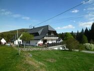 Schwarzwaldhaus am wunderschönen Schluchsee - Schluchsee