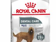 Royal Canin CCN Dental Care Maxi - 9 kg
