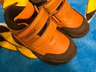 Geox Kinder Schuhe - Wuppertal