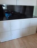 Kallaxaquarium - Aquarium in 66954