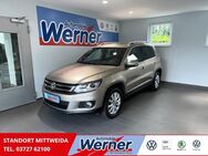 VW Tiguan, 2.0 TDI Na, Jahr 2015 - Mittweida