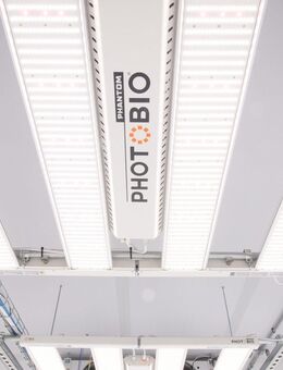 PHOTOBIO MX2 - Rüsselsheim Zentrum
