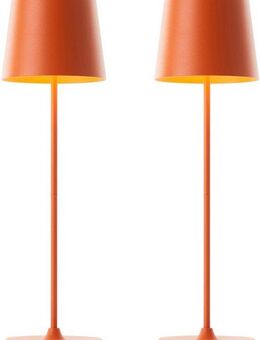 Brilliant LED Tischleuchte Kaami - mobile LED Außen Akku Tischlampe 2er-Set, Dimmer, Dimmfunktion, mehrere Helligkeitsstufen, LED fest integriert, Warmweiß, 310 lm, Touchdimmer, USB, Akku, Outdoor, Indoor, Akkuleuchte 37cm hoch