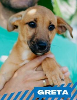 Greta - einfach nur entzückend - Berlin