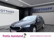 Skoda Octavia, 2.0 TDI Combi Ambition, Jahr 2021 - Hamm