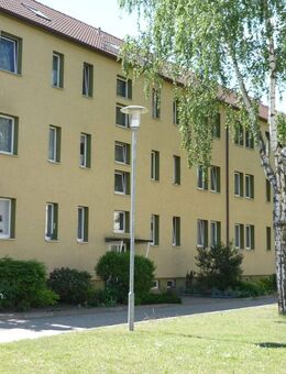 Helle freundliche 2 -Raum Wohnung in Dahme/Mark - Dahme-Mark Zentrum