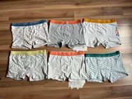 Zara Slipboxer Set 6 Stück 152/158 Beach Surf Palmen selten getragen - Hamburg